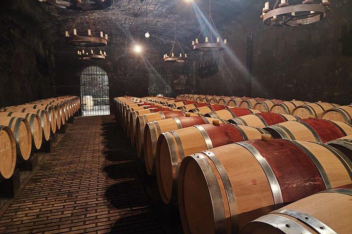 Tour vignobles Châteauneuf du Pape full day depuis Avignon