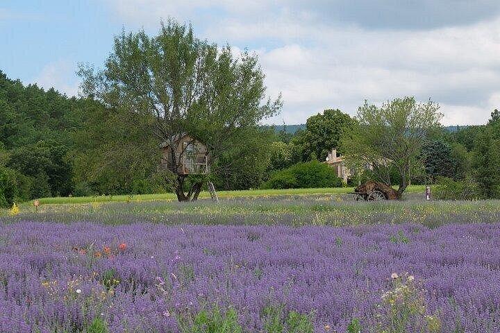 Visite privée d'une journée complète au départ d'Arles Nîmes ou des Alpilles