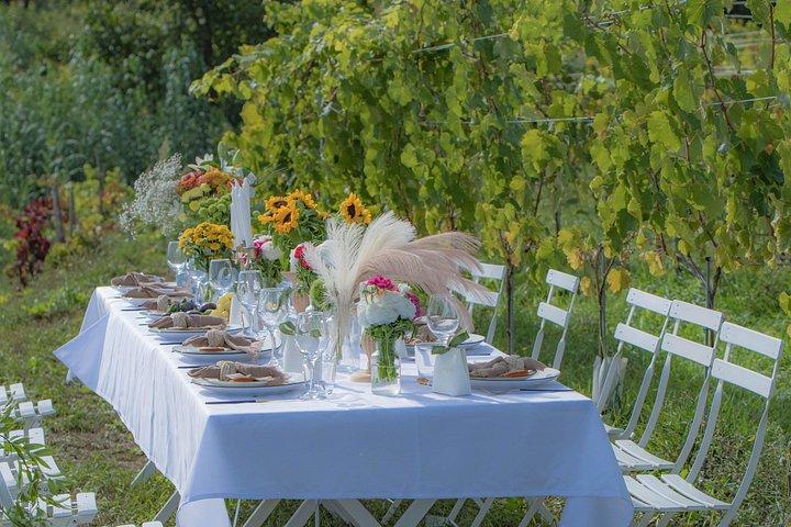 Dîner au Vignoble Saint Tropez