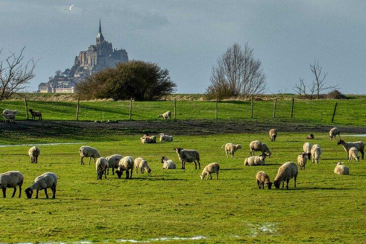 Excursion Mont-Saint-Michel au départ de Rennes - Chauffeur Privé