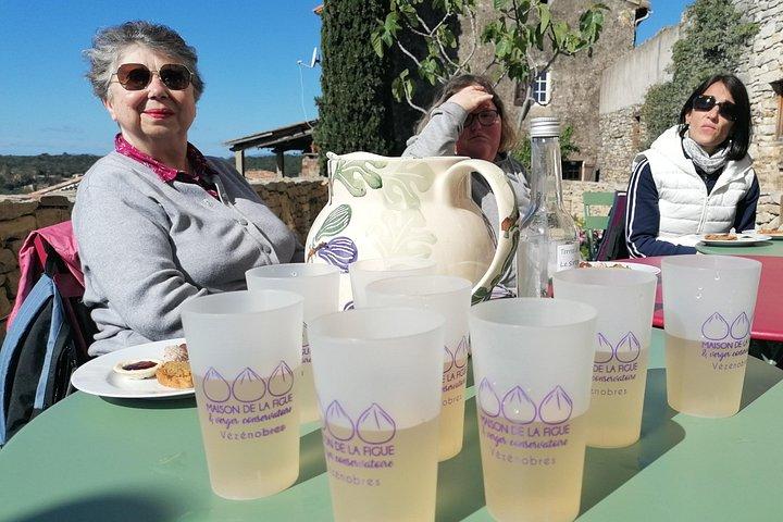 Visite gastronomique dans la campagne du sud de la France au départ de Nîmes