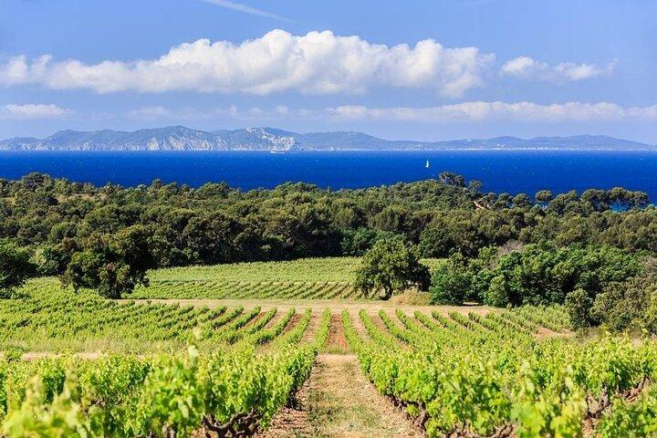 Excursion privée d'une journée en Provence au départ du port de croisière de Toulon