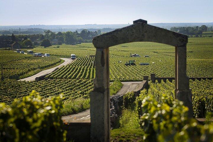 Journée complète Vin de Bourgogne & Gastonomie : Dégustations & Déjeuner Gourmand