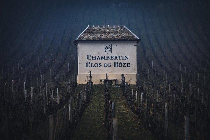 Luxueux Wine Tour en Bourgogne