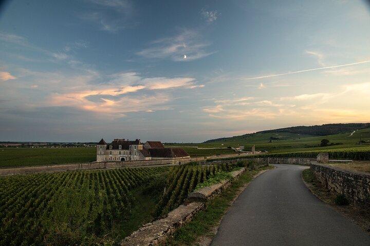 Visite Privée Oenologique d'Une Journée en Côte de Nuits