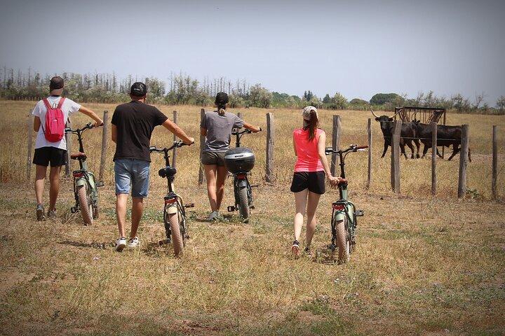 Aigues Mortes : Safari vélo électrique - Ebike en Camargue