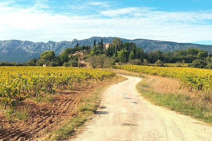 Tour du vin comme un local en Provence pittoresque avec pique-nique et pétanque