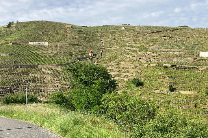 Visite Guidée des Coteaux Côte Rôtie en Duo Parents Enfants