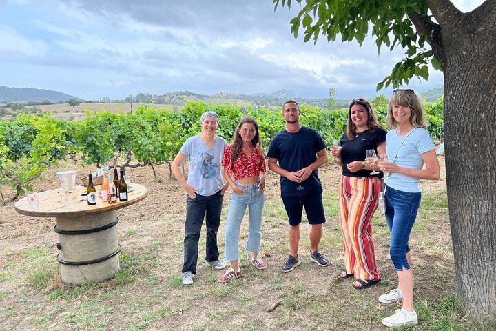 Visite des vins corses et pique-nique à Calvi