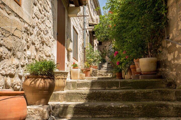 Visite guidée privée de Saint-Rémy, Arles et Les Baux