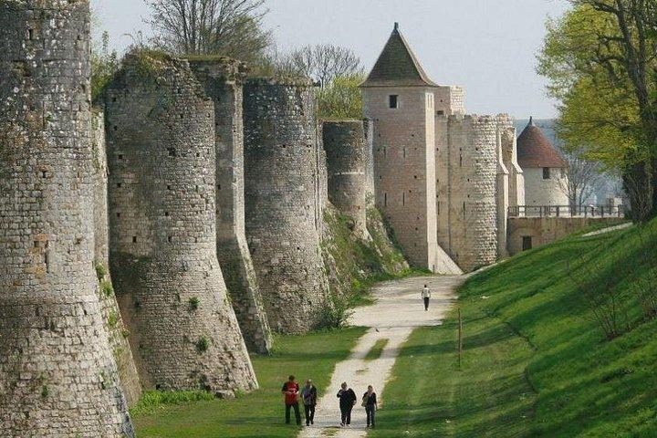 Excursion privée d'une journée à Provins et Fontainebleau au départ de Paris