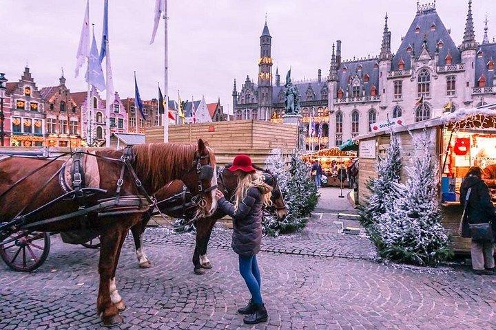 Excursion d'une journée au pays des merveilles d'hiver de Paris à Bruges