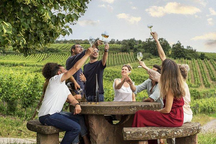 Visite privée des vins d'Alsace au départ de Strasbourg et environs