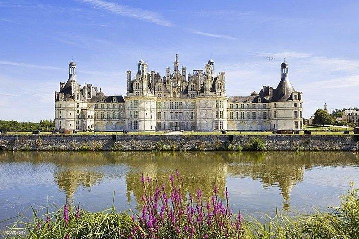 Excursion d'une journée dans la vallée de la Loire depuis Paris : Châteaux, Vins, Petit groupe