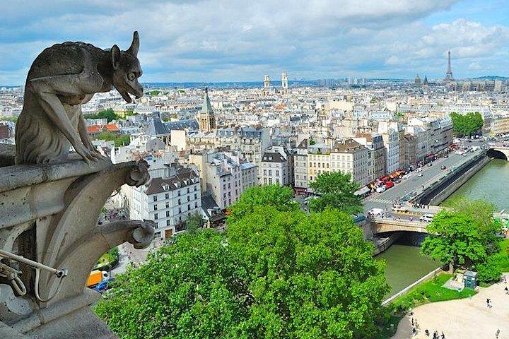 Visite à pied historique de la rive gauche à Paris