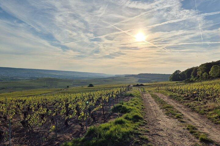 Au départ de Paris une journée complète de visite privée du Champagne avec dégustation locale