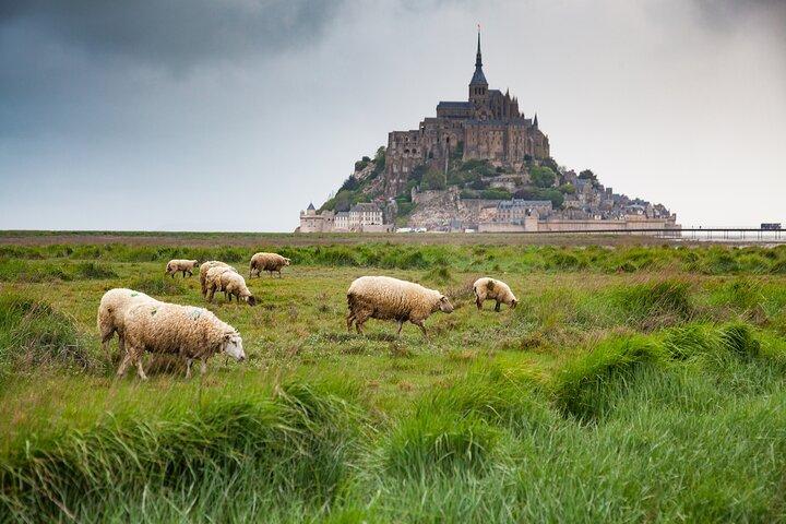 Évasion privée et Enchantée du Mont-Saint-Michel depuis Le Havre