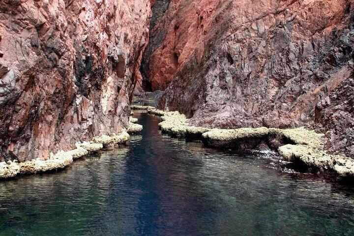 Au départ de Porto (Fr) Scandola Girolata Capo-Rosso VEDETTE