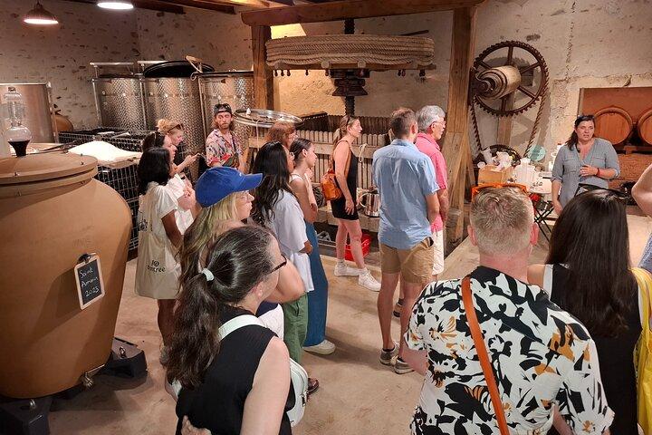 Excursion d’une demi-journée dans le Beaujolais avec dégustation de vins