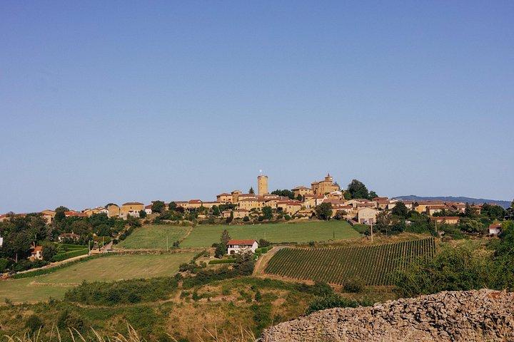 Visite du Beaujolais aux pierres dorées avec dégustations de Lyon