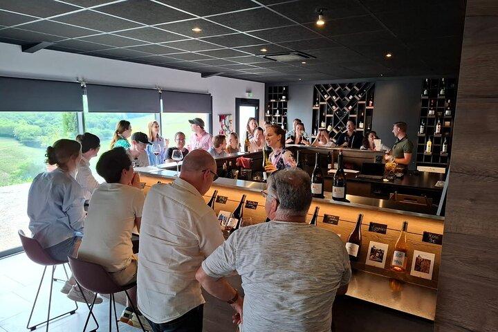 Route des vins du Beaujolais, visite privée au départ de Lyon