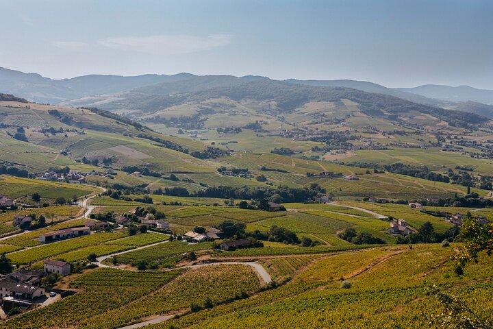 Excursion privée d'une journée dans le Beaujolais avec dégustations au départ de Lyon