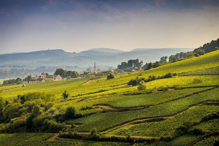 Excursion d'une demi-journée sur la Côte de Beaune au départ de Dijon