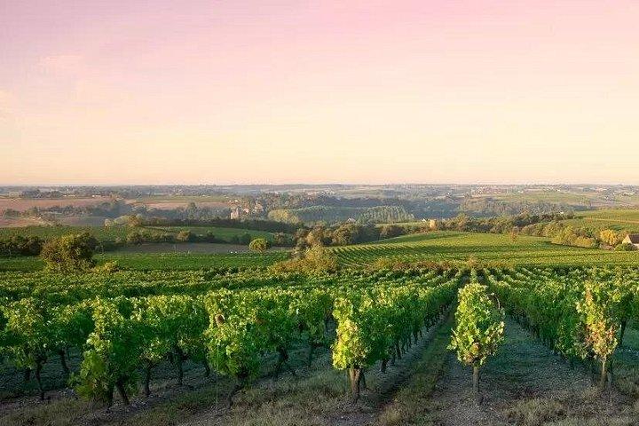 Excursion d'une demi-journée sur la Côte de Nuits au départ de Dijon
