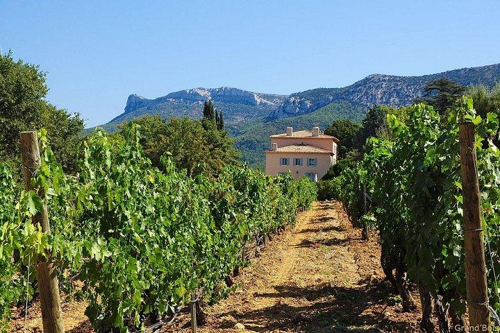 Expérience privée Voyage de deux jours Découvrez les vins de Provence
