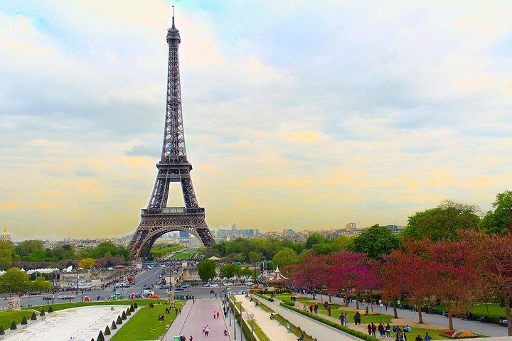 Visite privée d'une journée à Paris