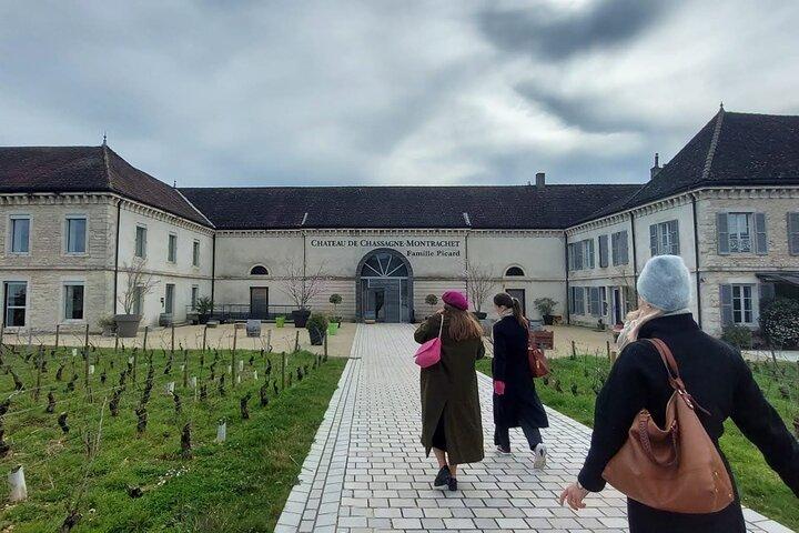 Excursion privée d'une journée dans les vignobles de Beaune et de Bourgogne au départ de Lyon