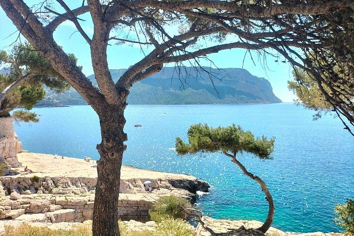 Demi-journée à Cassis : Balade en bateau aux Calanques, Apéritifs locaux & Vins