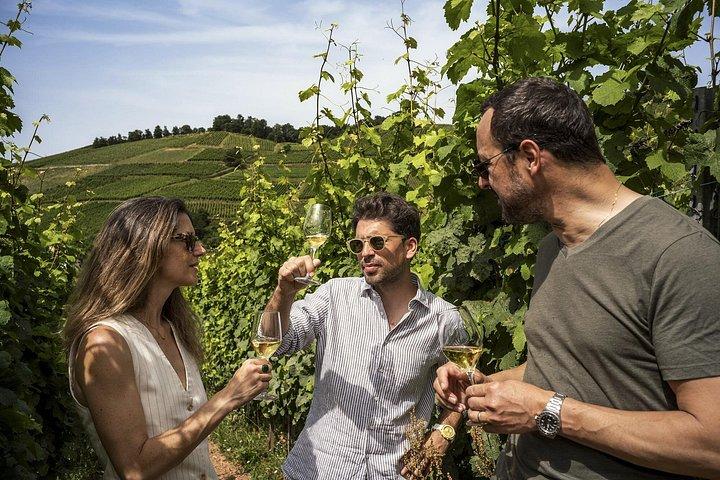 Visite privée des vins d'Alsace au départ de Colmar, Bâle ou Mulhouse