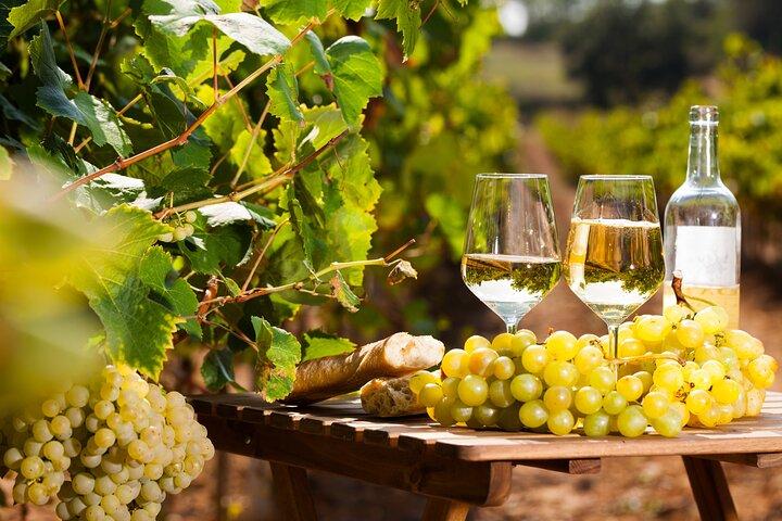 Journée complète de dégustation de vins et de marchés provençaux au départ de Nice