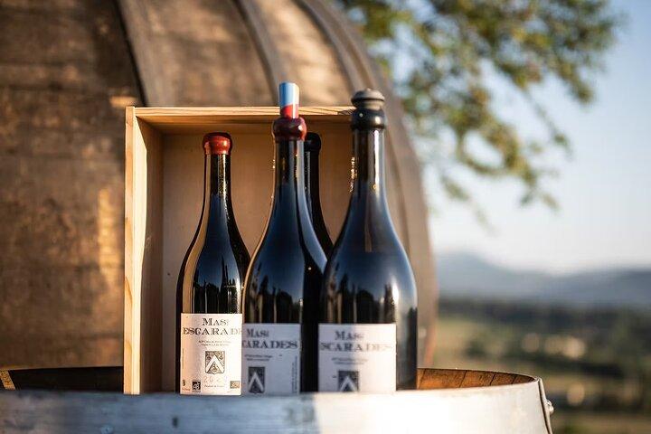 Visite de la cave /dégustation dans les vignes, Mas des Escarades