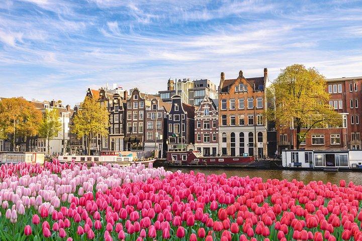 Transfert privé de Paris à Amsterdam, chauffeur anglophone