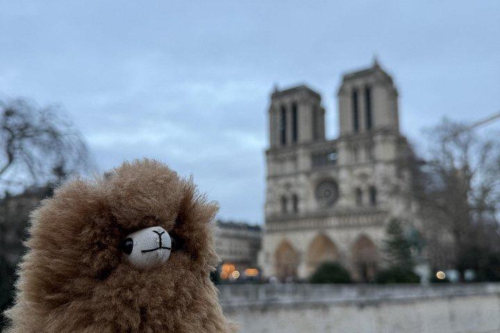 Visite guidée privée à pied de Paris avec visite de Notre-Dame