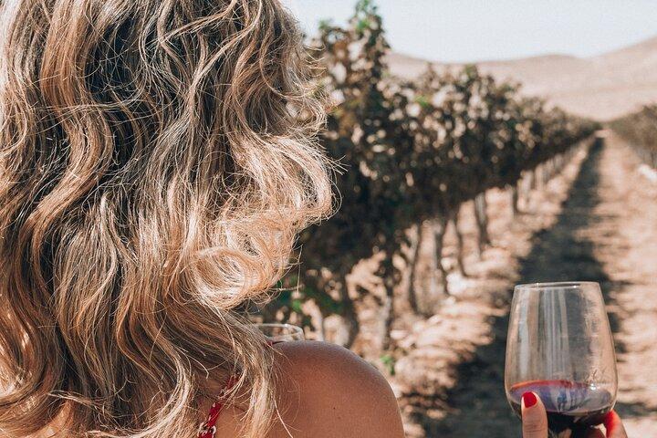Visite privée des vins de luxe à Saint-Tropez et en Provence