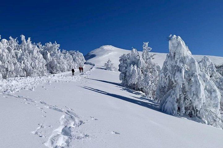 Excursion d'une journée à Cauteret
