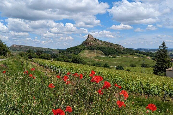 Wine-Tour SUD BOURGOGNE : Le Maconnais et les Crus du Beaujolais