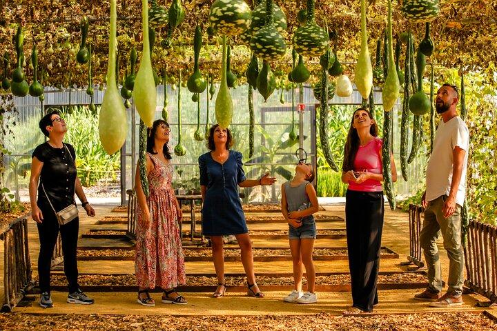Visite du Potager Extraordinaire à La Roche sur Yon