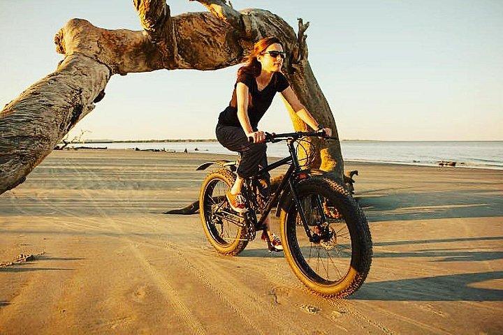 Location de VTT en Camargue