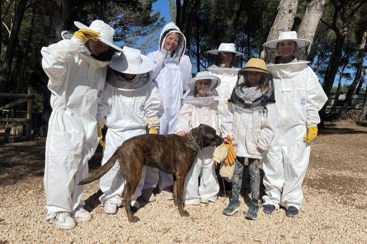 Immersion dans la Vie d'une Ruche et ses Abeilles Sacrées