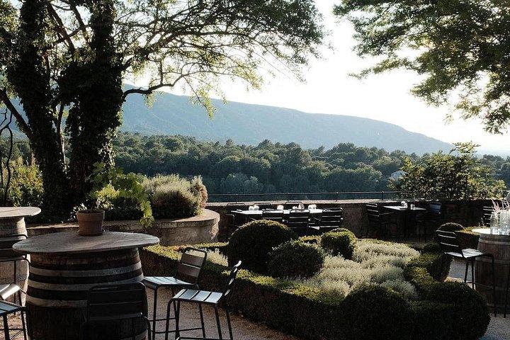Dégustation d'huile d'olive et de mets gastronomiques Provence privée