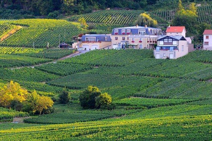 Visite d'une demi-journée à Epernay Sud et dégustations de champagne