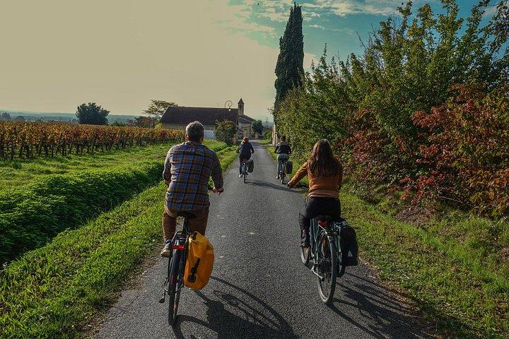 Excursion privée à vélo électrique d'une demi-journée et déjeuner avec un caviste