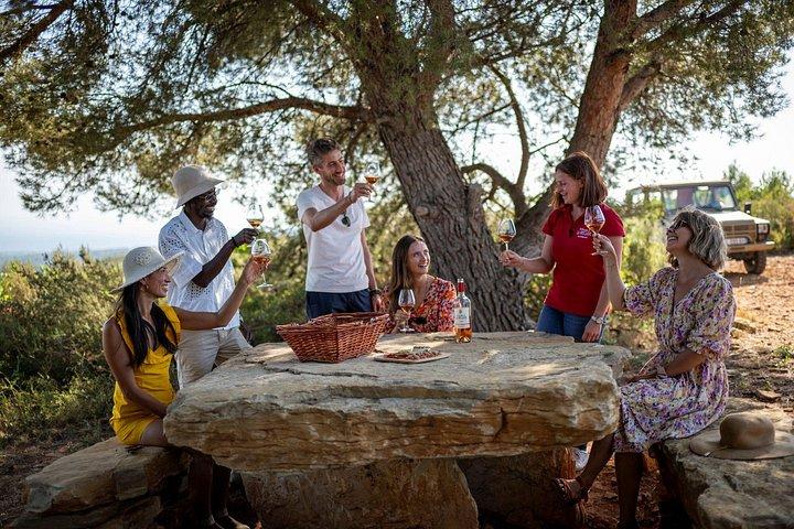 Visite privée des vins en Provence avec un expert