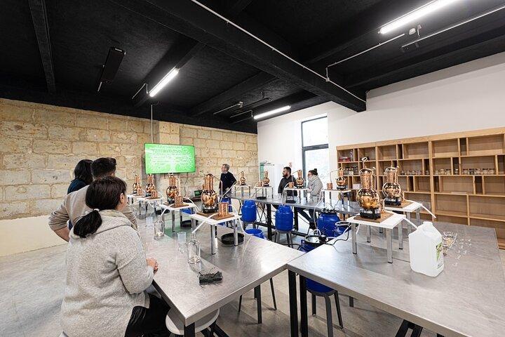 Atelier d'Initiation à la Distillation de Gin près de Saumur