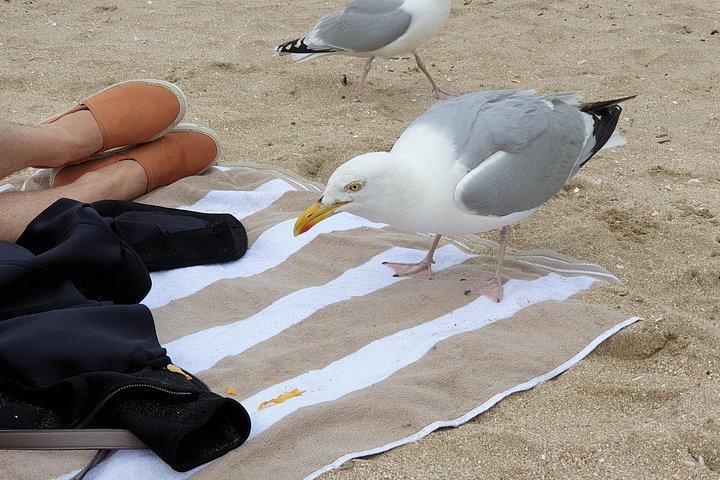 Transfert privé de Paris a Deauville Trouville