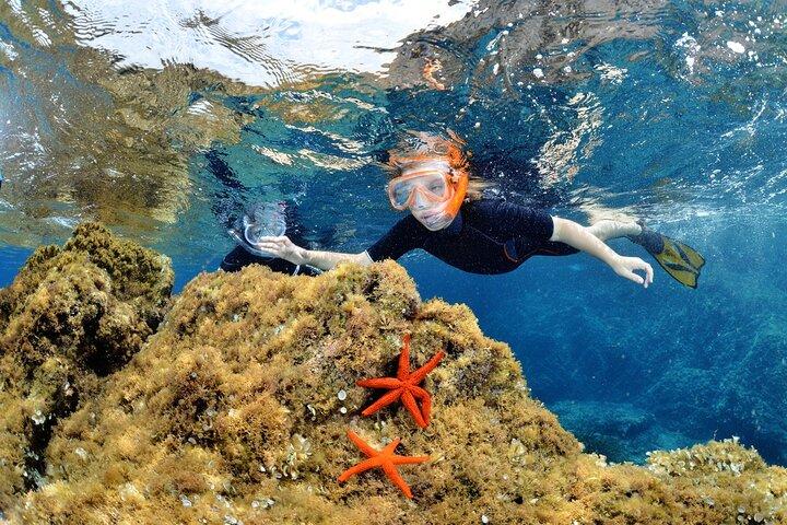 Snorkeling Tour Golfe Calvi